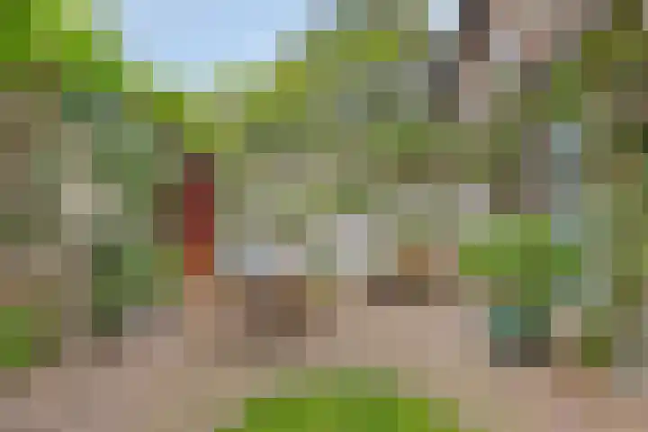 's-Gravesandestraat 19 's-Hertogenbosch thumbnail 24