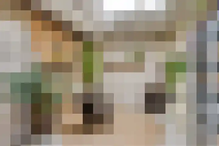 's-Gravesandestraat 19 's-Hertogenbosch thumbnail 25