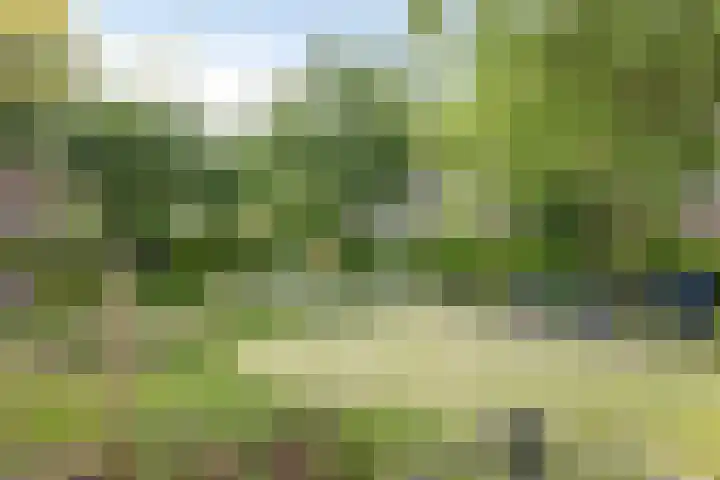 's-Gravesandestraat 19 's-Hertogenbosch thumbnail 31