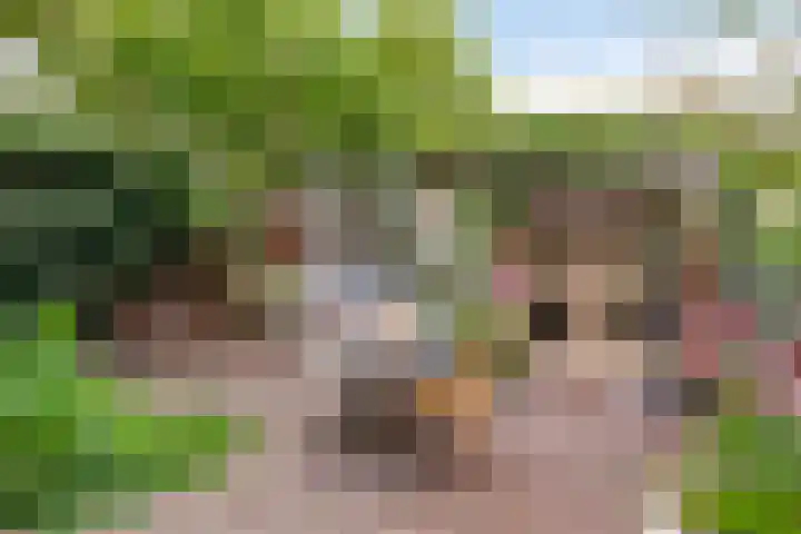 's-Gravesandestraat 19 's-Hertogenbosch thumbnail 4