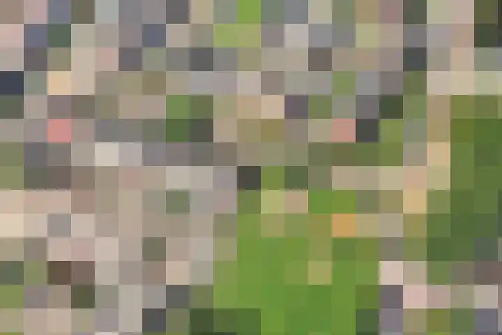 's Gravesandestraat 7 Badhoevedorp thumbnail 53