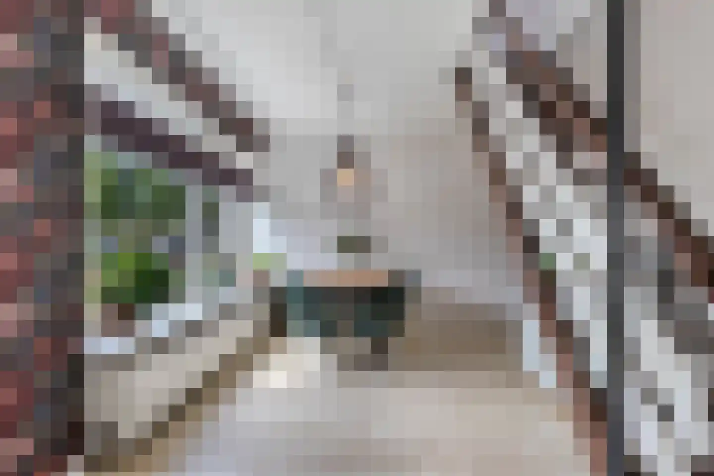 S.H.de Rooshof 51 Drachten thumbnail 14