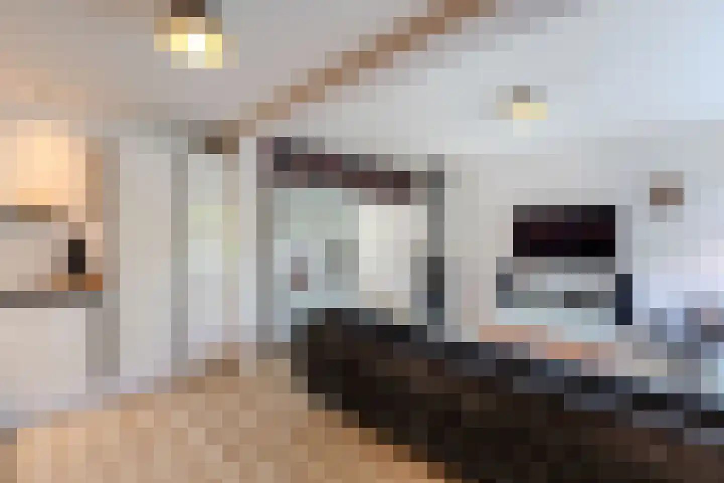 S.H.de Rooshof 51 Drachten thumbnail 23