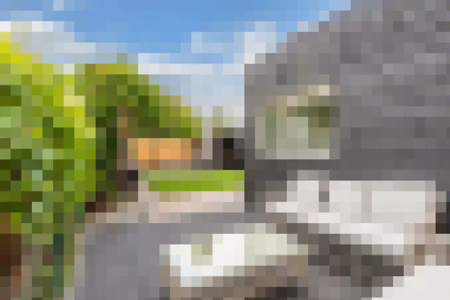 S.H.de Rooshof 51 Drachten thumbnail 55