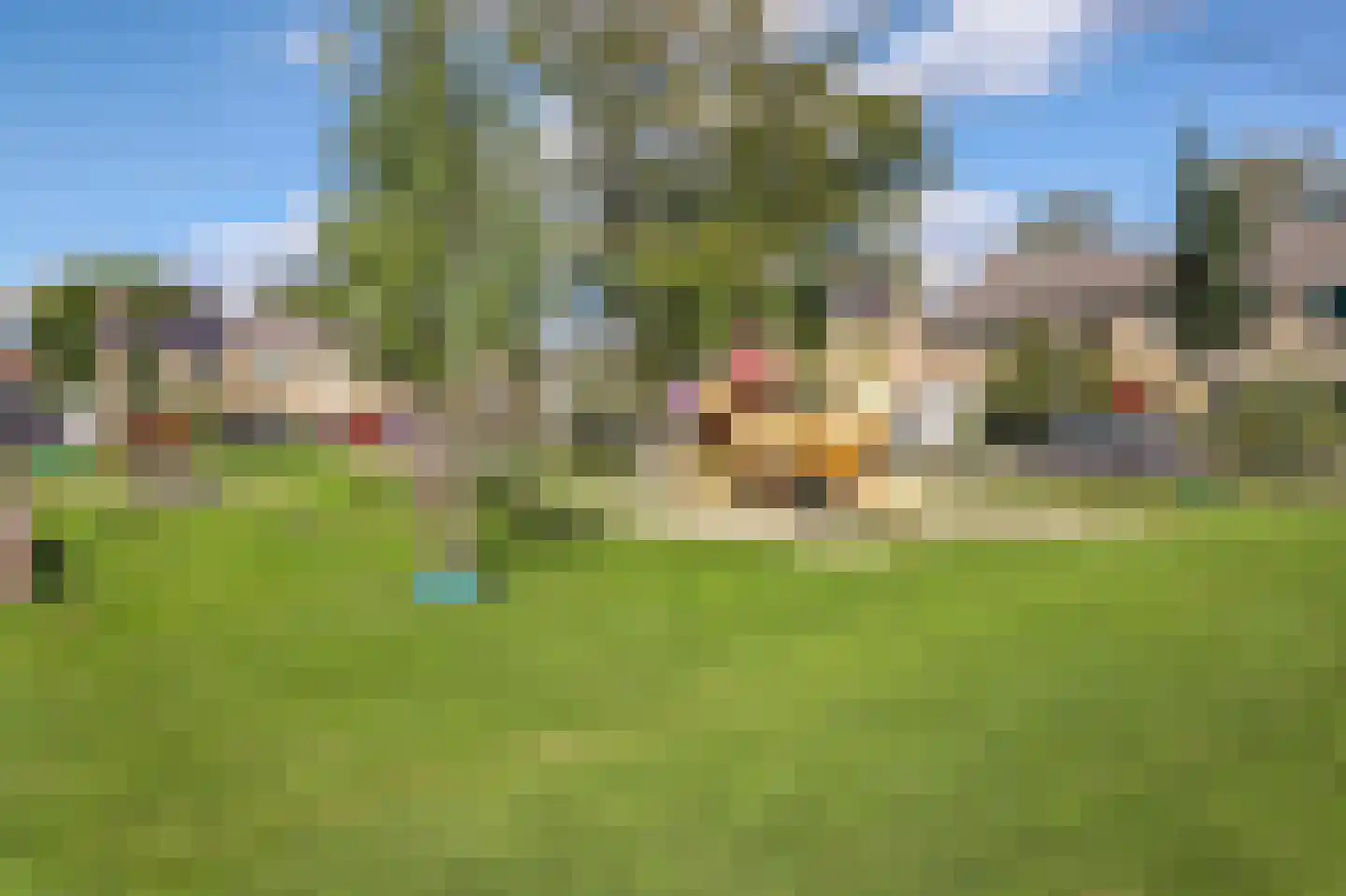 S.H.de Rooshof 51 Drachten thumbnail 66