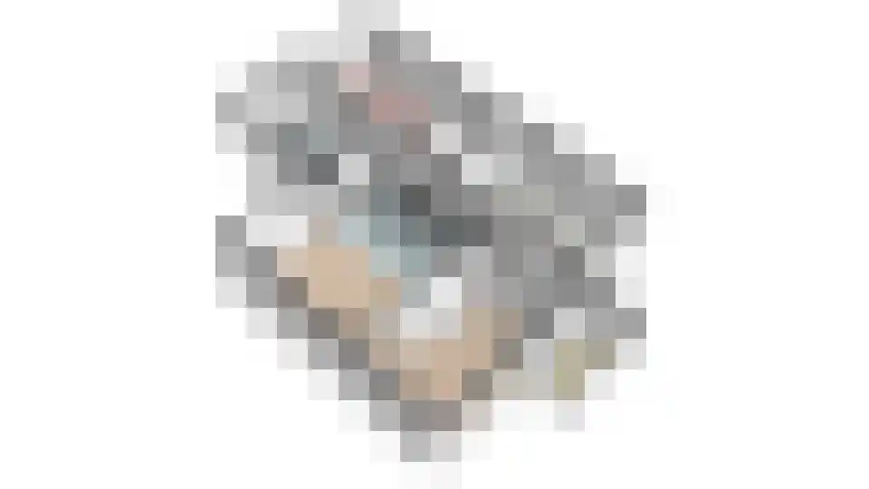 S.H.de Rooshof 51 Drachten thumbnail 68