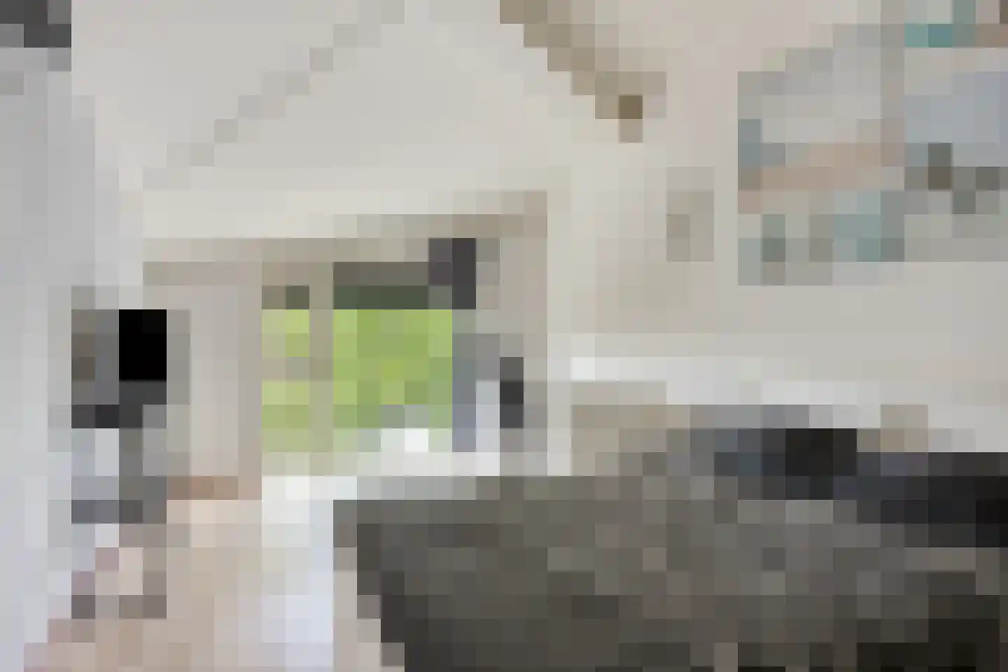 S.H. de Roosstraat 14 Deventer thumbnail 19