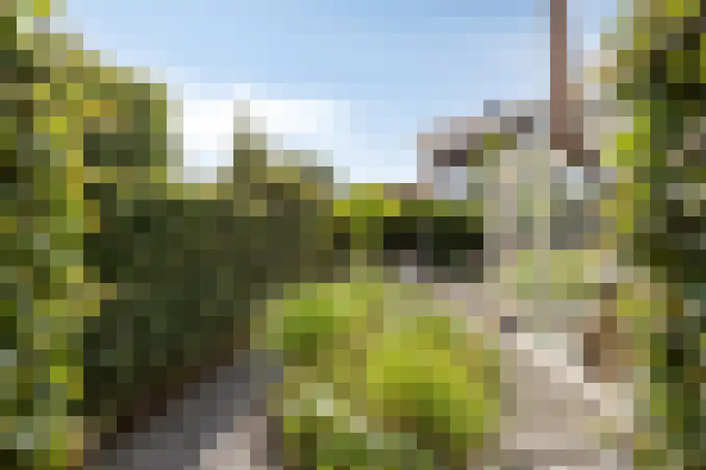 S.H. de Roosstraat 30 Deventer thumbnail 35