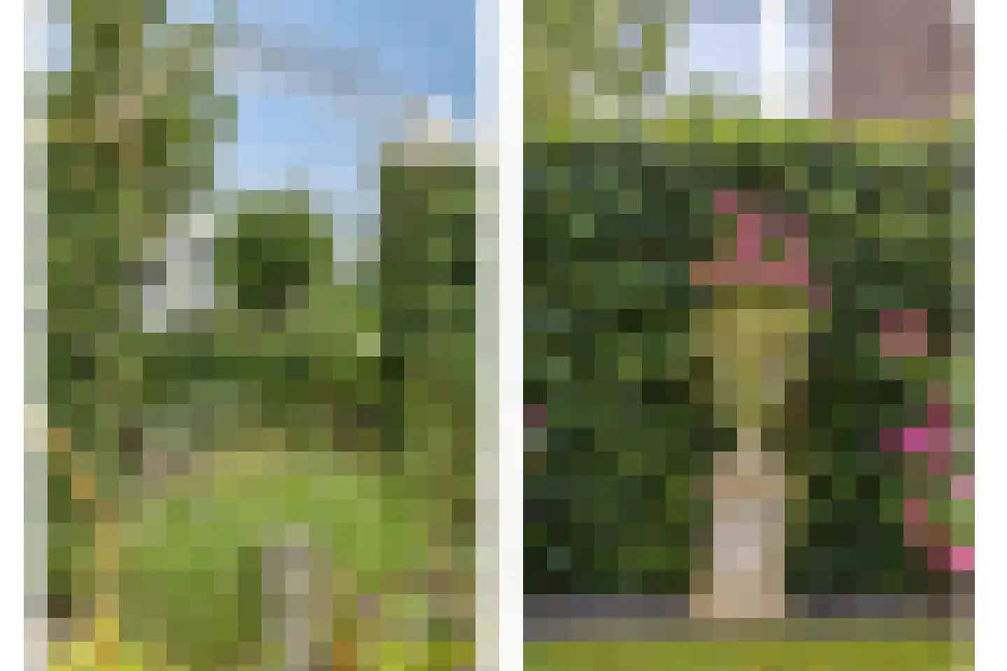 S.H. de Roosstraat 30 Deventer thumbnail 36