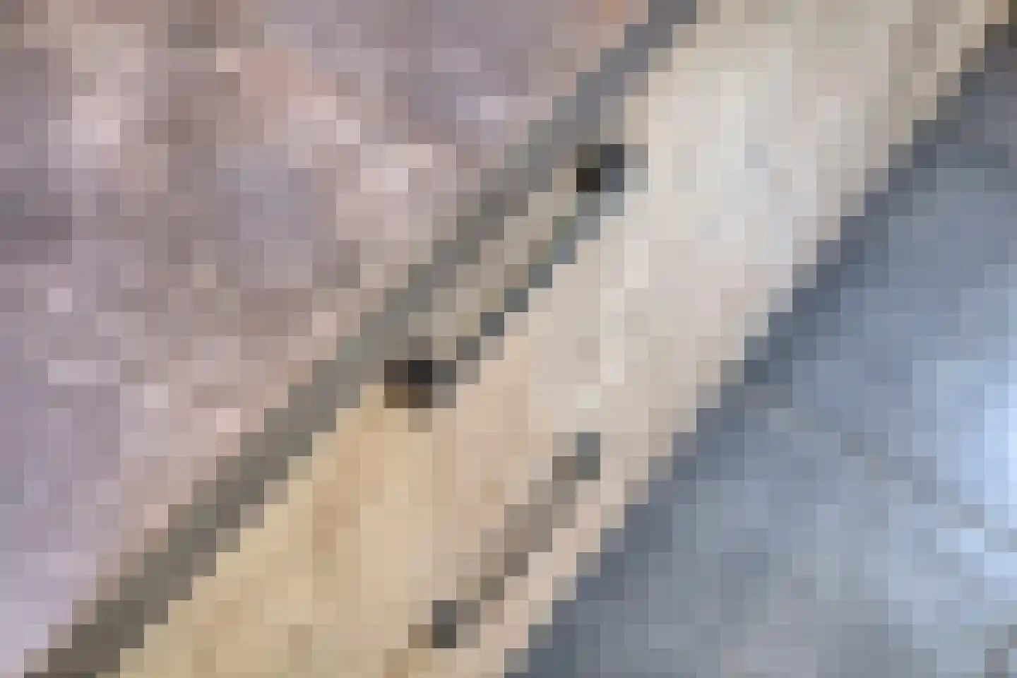's-Heer Elsdorpweg 17 Goes thumbnail 19