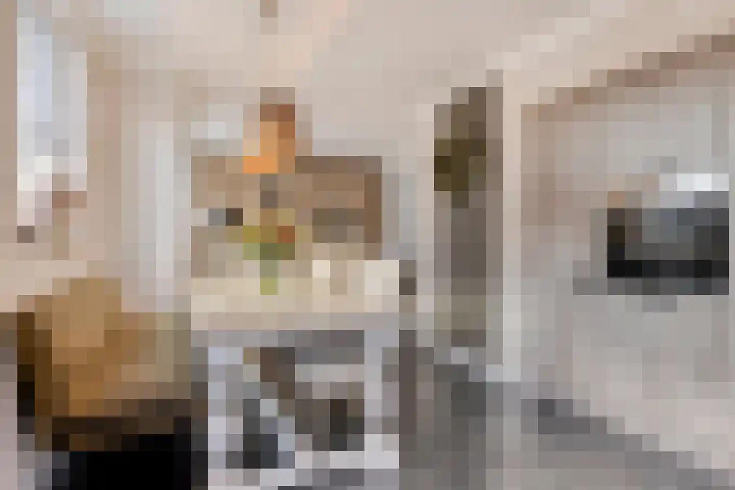 's-Heer Elsdorpweg 17 Goes thumbnail 20