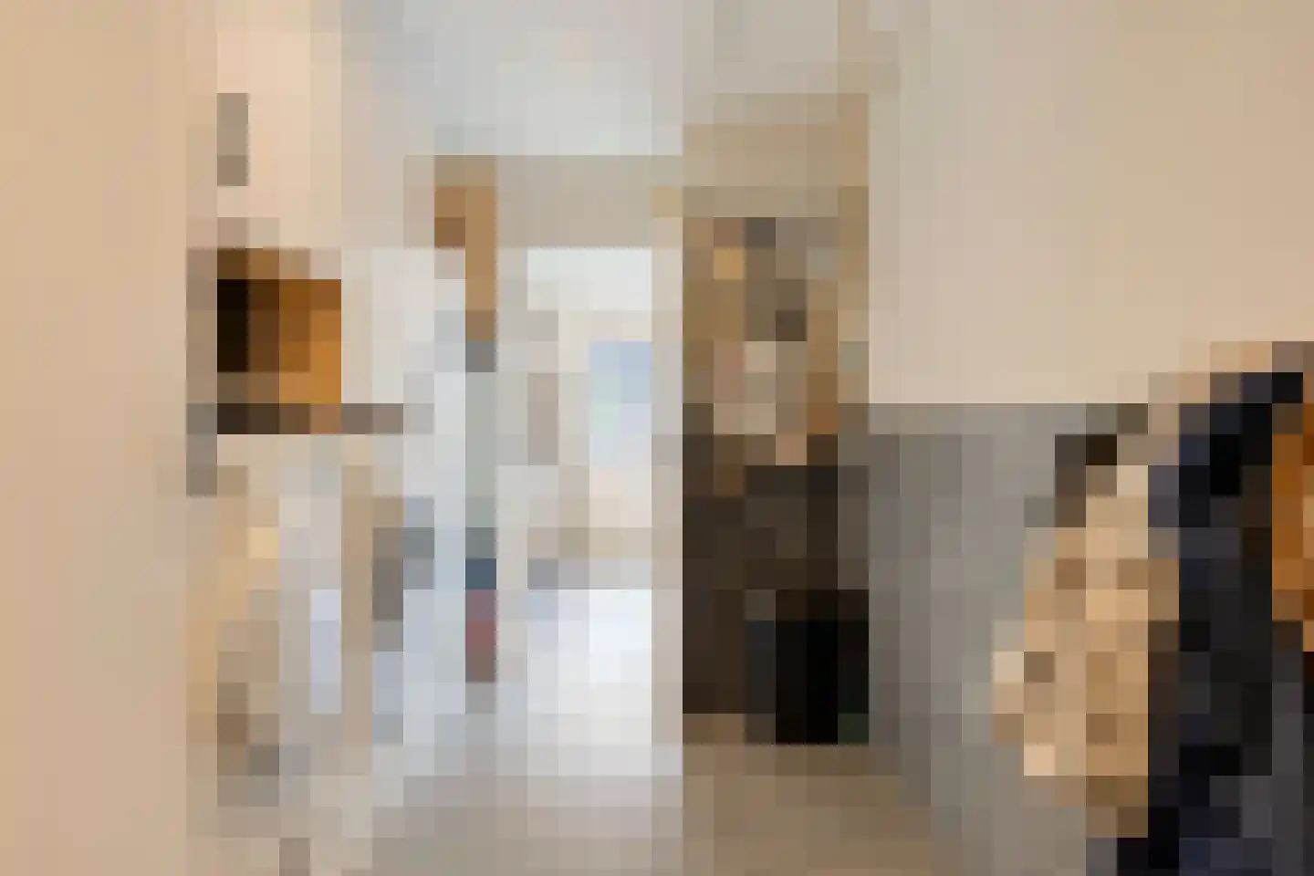 's-Heer Elsdorpweg 17 Goes thumbnail 23