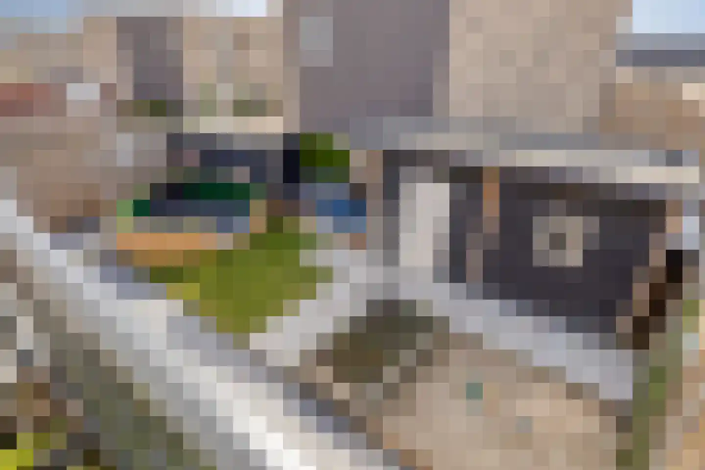 's-Heer Elsdorpweg 17 Goes thumbnail 38