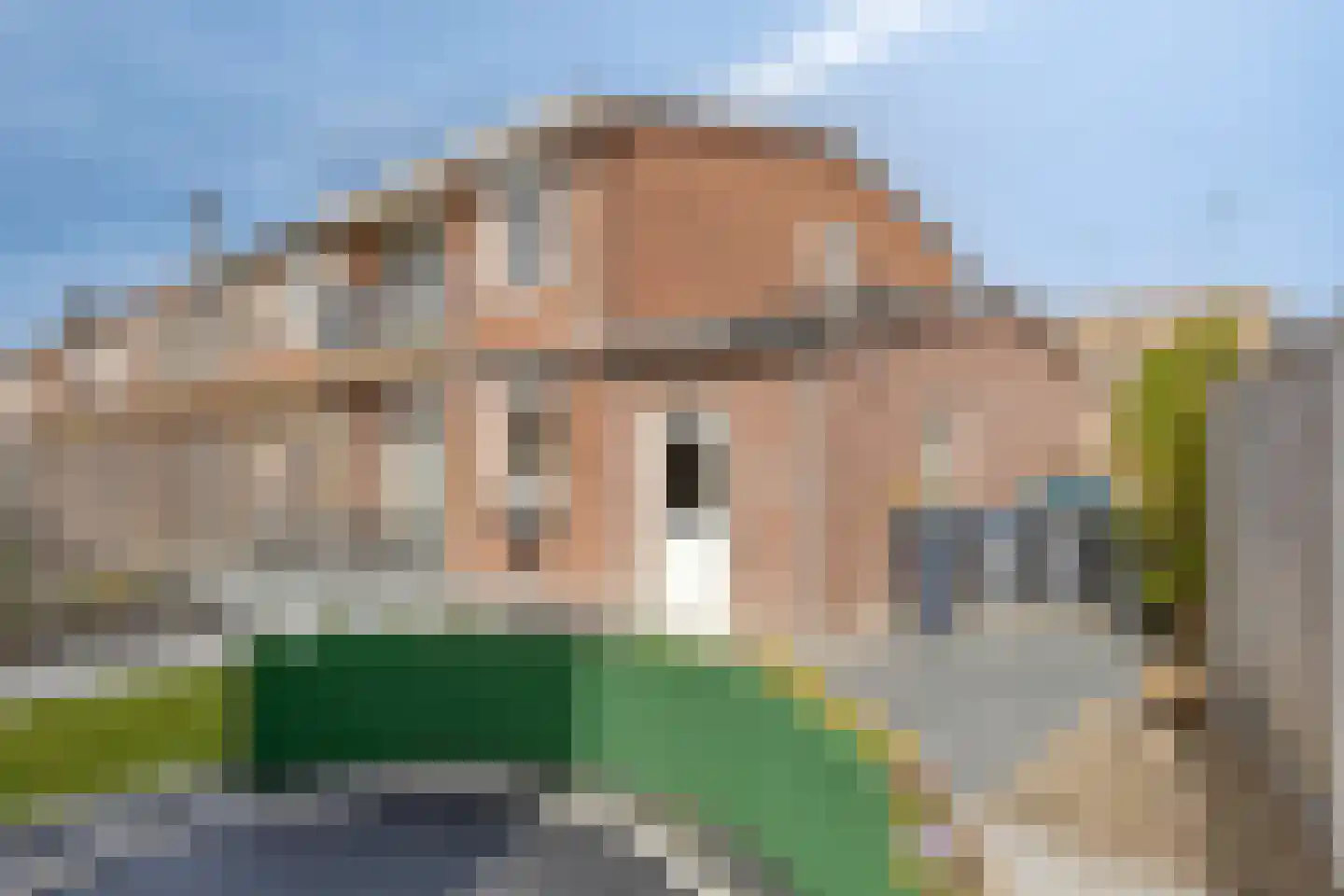's-Heer Elsdorpweg 17 Goes thumbnail 39