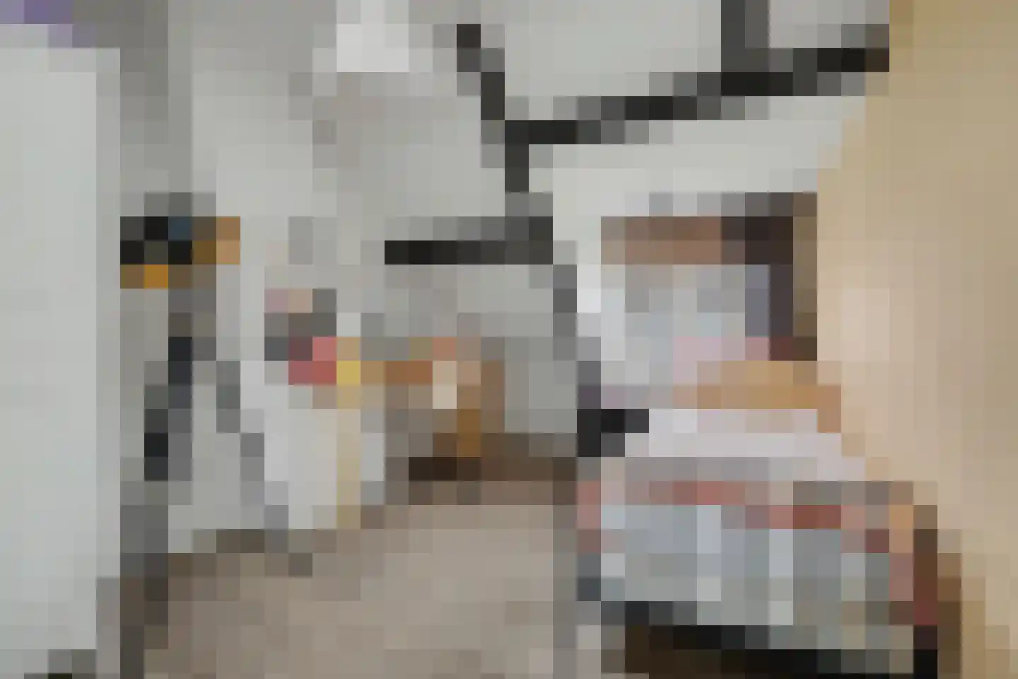 's-Heer Hendrikskinderendijk 32 Goes thumbnail 15