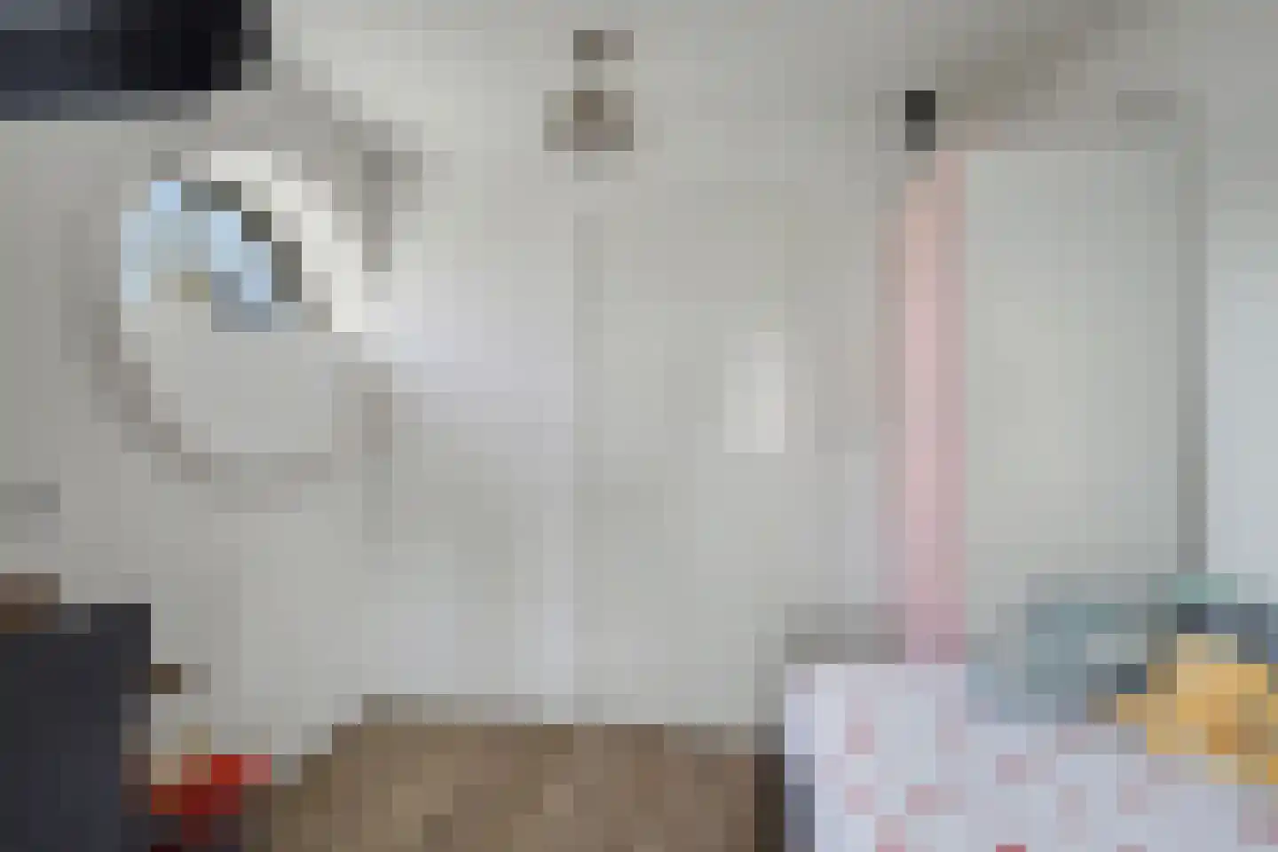 's-Heer Hendrikskinderendijk 32 Goes thumbnail 20