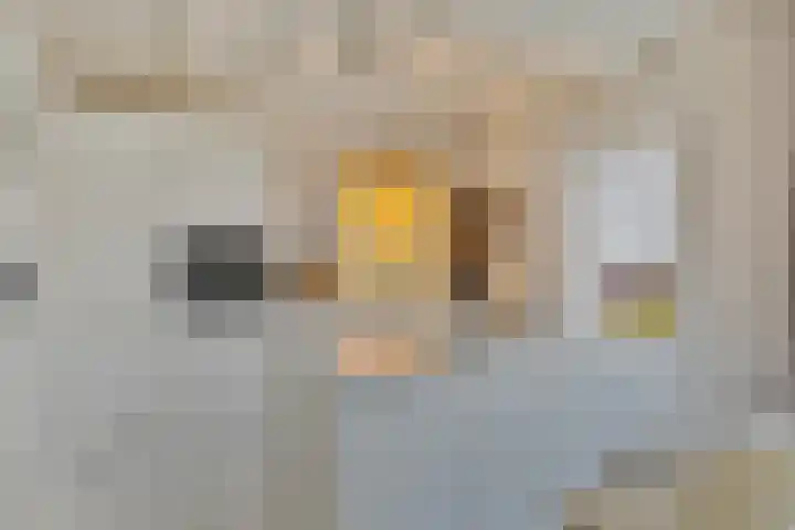 's-Heer Hendrikskinderendijk 5 Goes thumbnail 11