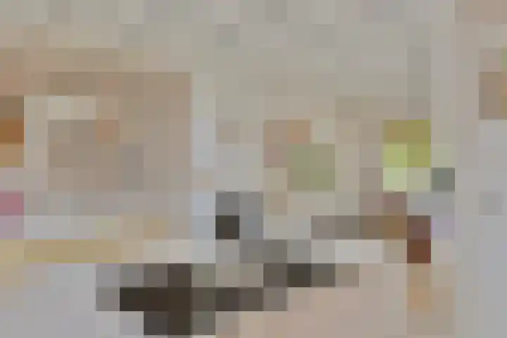 's-Heer Hendrikskinderendijk 5 Goes thumbnail 15