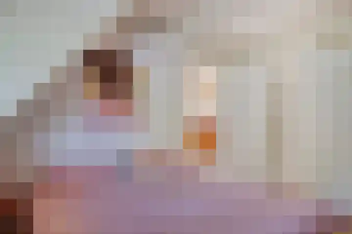 's-Heer Hendrikskinderendijk 5 Goes thumbnail 19
