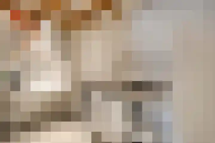 's-Heer Hendrikskinderendijk 5 Goes thumbnail 26