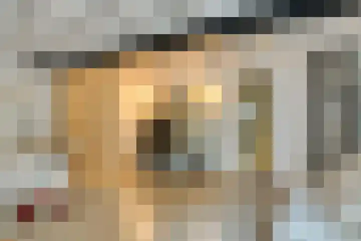 's-Heer Hendrikskinderendijk 5 Goes thumbnail 27