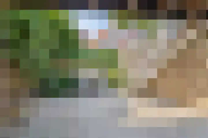 's-Heer Hendrikskinderendijk 5 Goes thumbnail 32