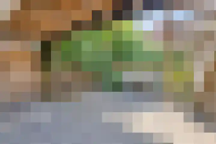 's-Heer Hendrikskinderendijk 5 Goes thumbnail 33