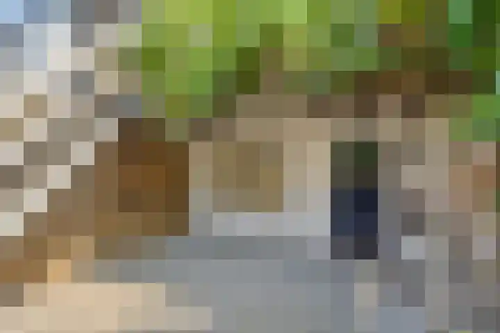's-Heer Hendrikskinderendijk 5 Goes thumbnail 34