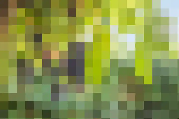's-Heer Hendrikskinderendijk 5 Goes thumbnail 35
