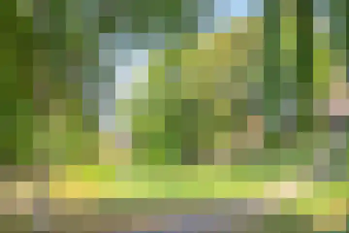 's-Heer Hendrikskinderendijk 5 Goes thumbnail 36