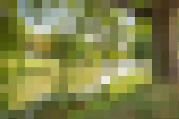 's-Heer Hendrikskinderendijk 5 Goes thumbnail 37