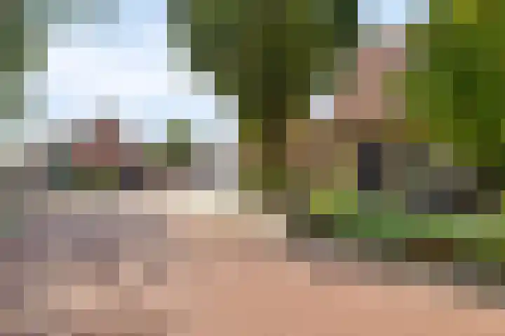's-Heer Hendrikskinderendijk 5 Goes thumbnail 38