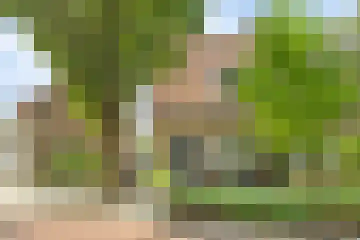 's-Heer Hendrikskinderendijk 5 Goes thumbnail 39