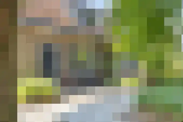 's-Heer Hendrikskinderendijk 5 Goes thumbnail 5