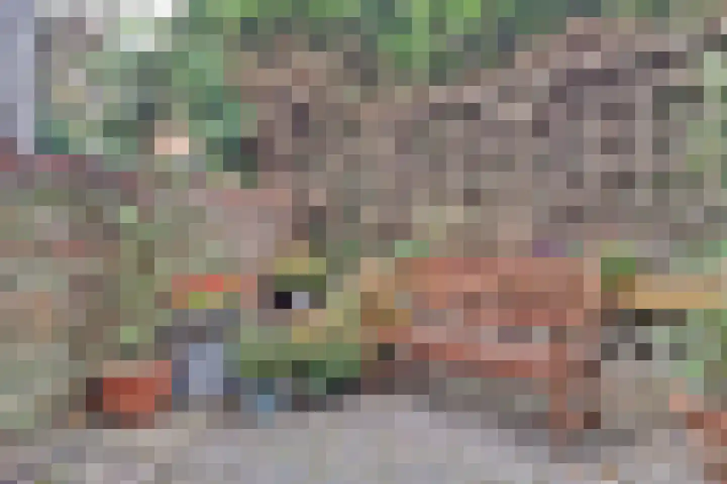 's-Heer Hendrikskinderendijk 7 Goes thumbnail 30