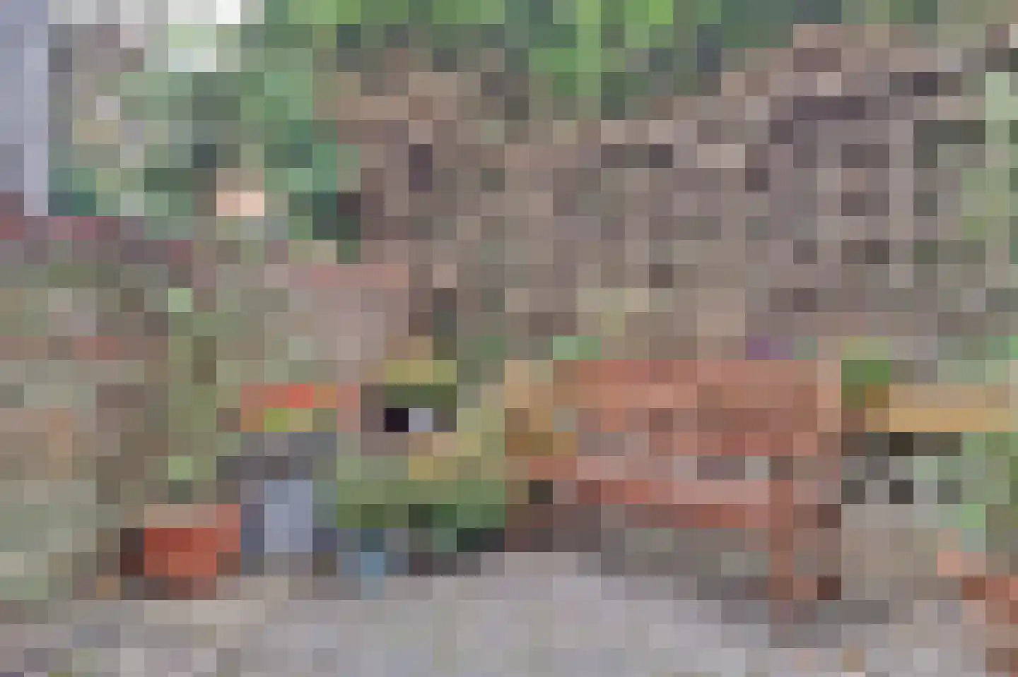 's-Heer Hendrikskinderendijk 7 Goes thumbnail 31