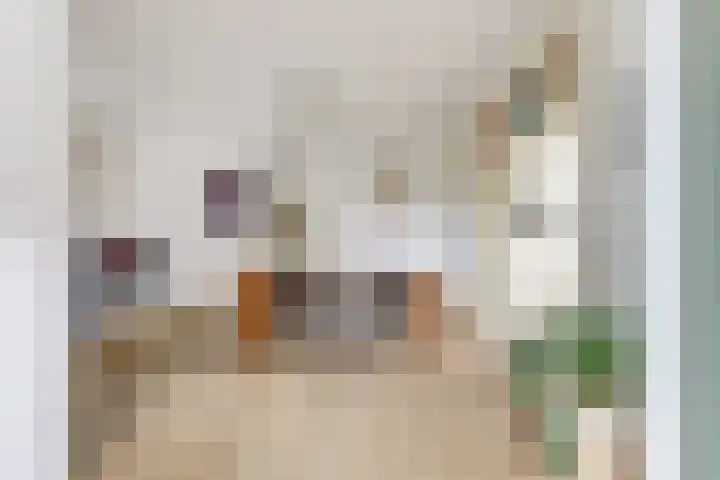 's-Heer Hendrikskinderendijk 78 Goes thumbnail 12