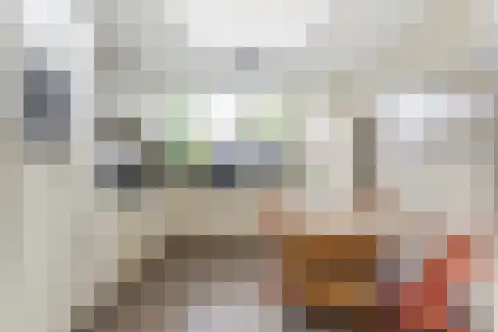 's-Heer Hendrikskinderendijk 78 Goes thumbnail 13