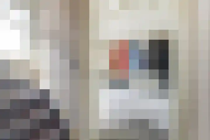 's-Heer Hendrikskinderendijk 78 Goes thumbnail 17