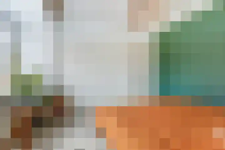 's-Heer Hendrikskinderendijk 78 Goes thumbnail 22
