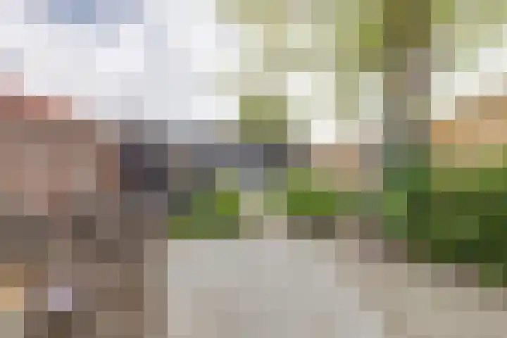 's-Heer Hendrikskinderendijk 78 Goes thumbnail 28