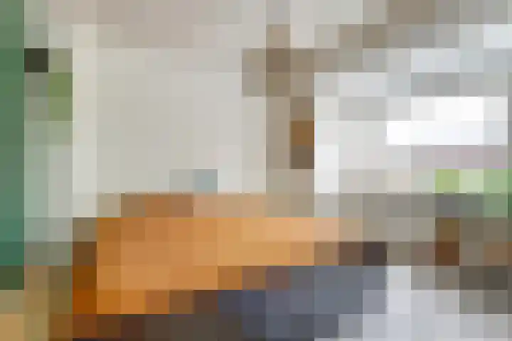 's-Heer Hendrikskinderendijk 78 Goes foto 3