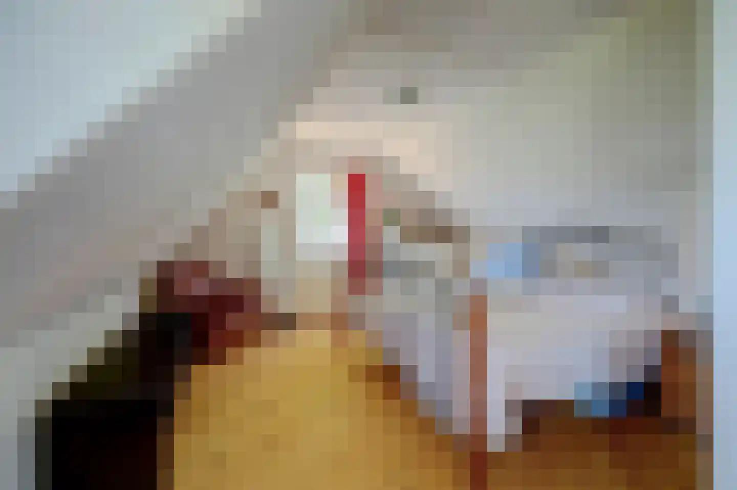 's Heer Lauwendorp 1 Zierikzee thumbnail 12