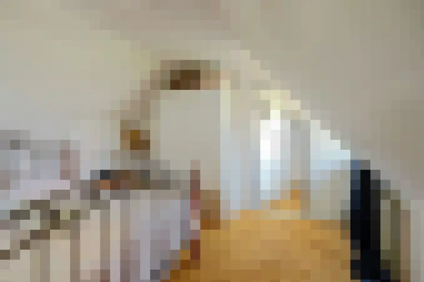 's Heer Lauwendorp 1 Zierikzee thumbnail 14