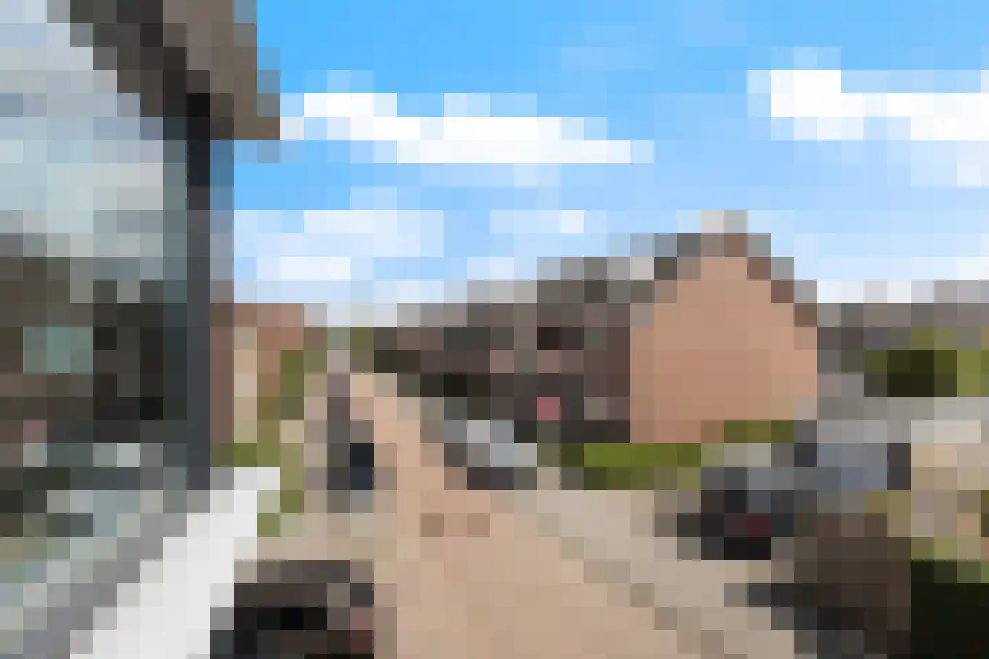 's Heeraartsbergstraat 2 d Bergambacht thumbnail 8