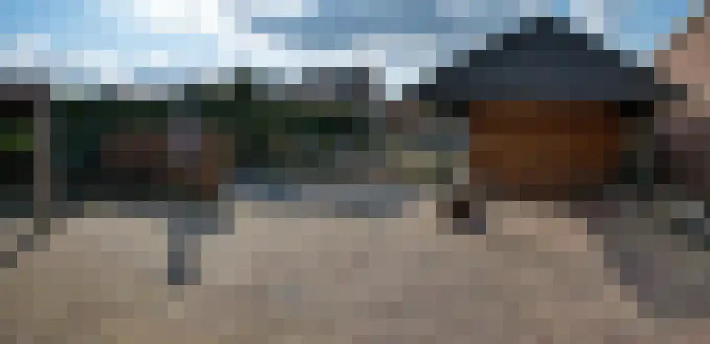 's-Heerenbergseweg 24 Zeddam thumbnail 47