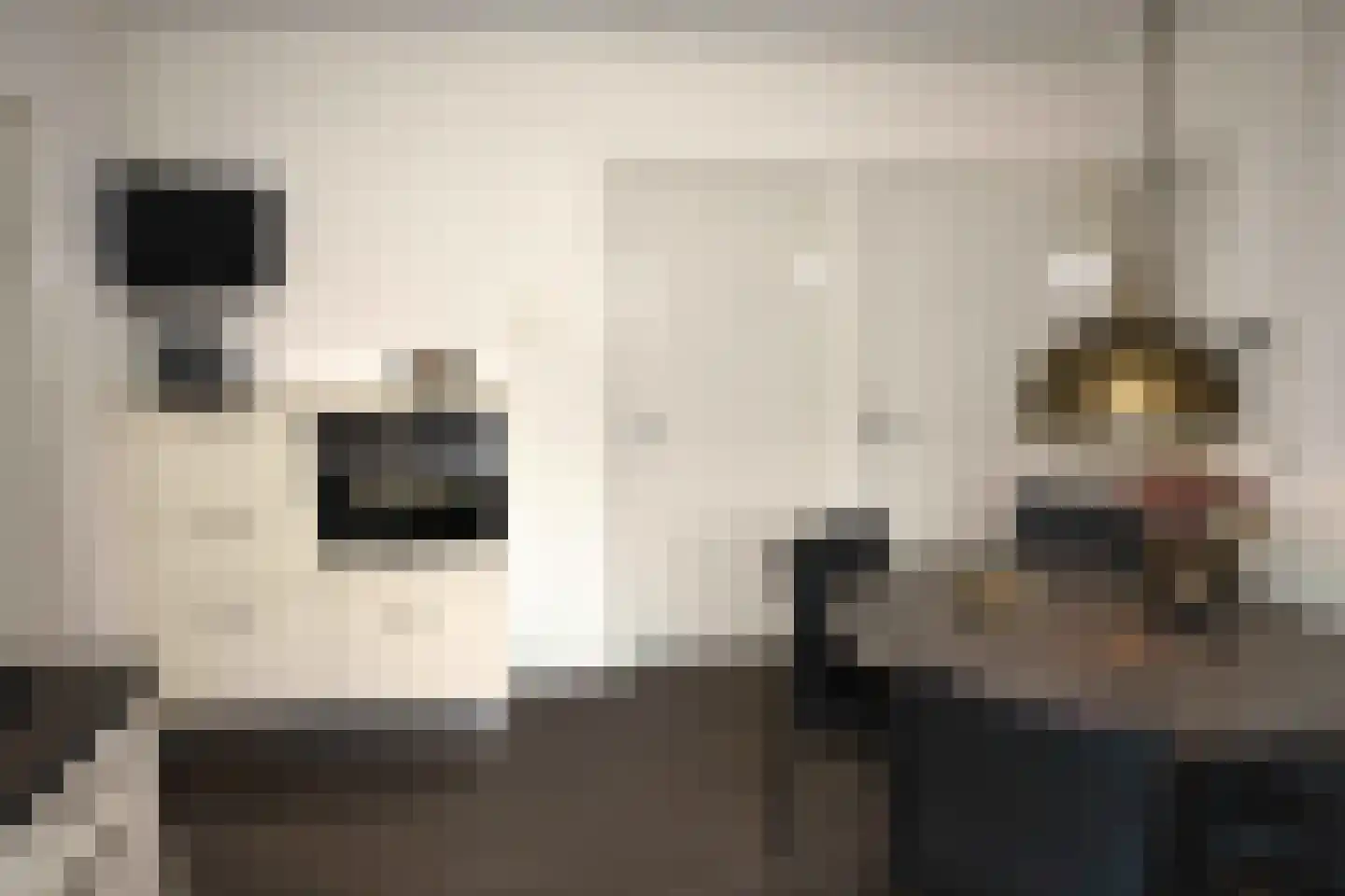 's-Heerenbergseweg 24 Zeddam thumbnail 8