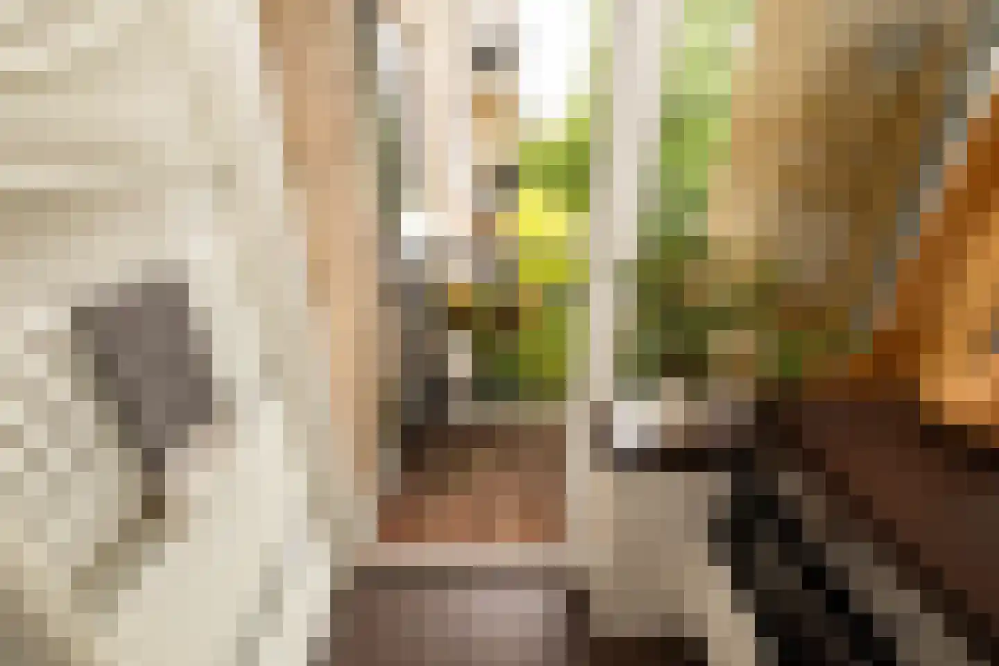 's-Heerenbergstraat 2 b Schoonhoven thumbnail 31