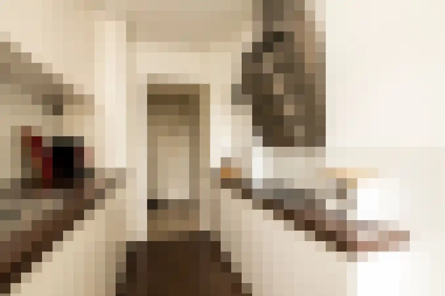 's-Heerenbergstraat 2 b Schoonhoven thumbnail 5