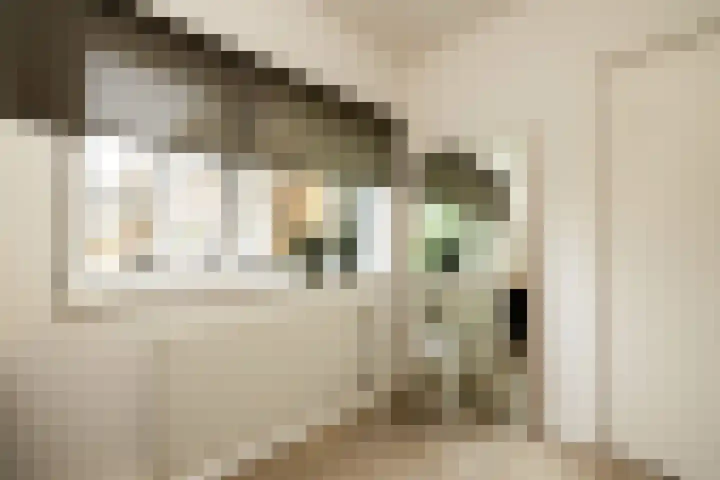 's-Heerenbergstraat 2 b Schoonhoven thumbnail 54